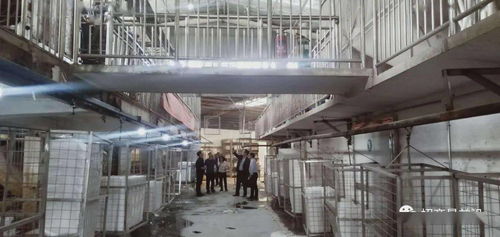 綠色包裝與節能保溫材料項目成功簽約，金屬裝飾材料零售市場迎新機